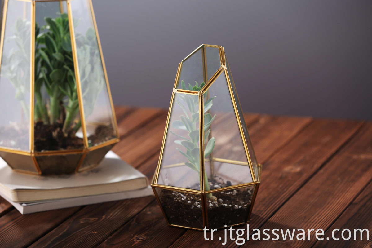 Black Glass Terrarium Geometric